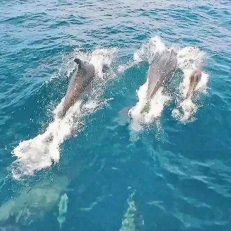 Ipanema 1 By Algarve Vacation Apartamento